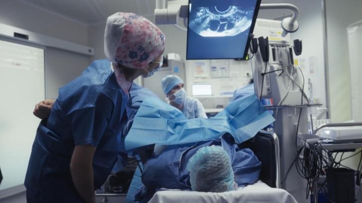 Nos œufs au congélo, le temps de la réflexion ?